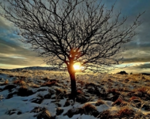 Invitasjon til seminar om autisme I NORGE – NORDLAND LOKALLAG Autismeforeningen SPISS – SILJE GISLEFOSS NETLAND KOMMUNIKASJON INNENFOR AUTISMESPEKTERET onsdag 8. februar 2023 Festsalen, Nordlandssykehuset avd. for psykiatri, Bodø